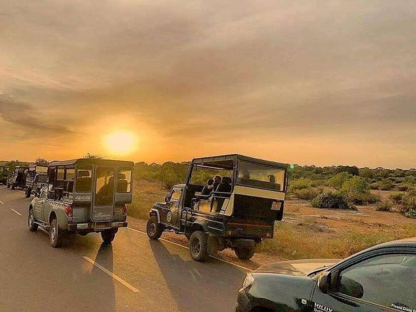 Yala National Park: 7 hour & 12 hour Leopard Safari Tours - Leopards, elephants, bears, and the rest