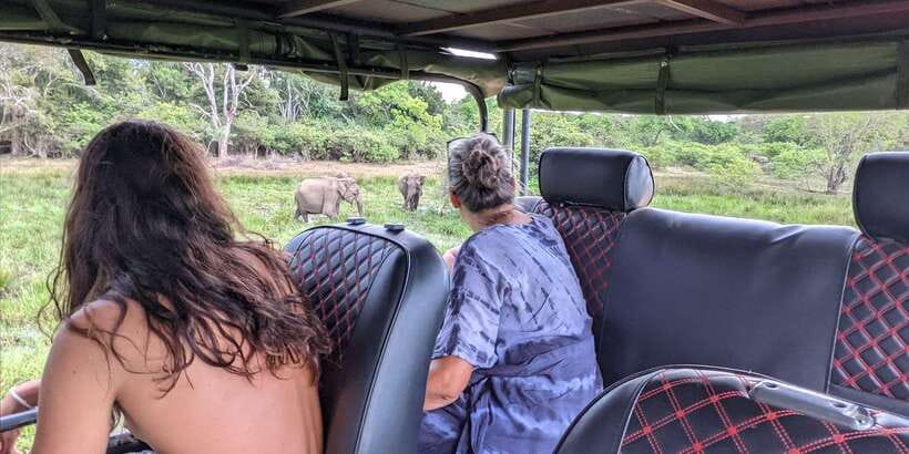 Yala National Park : Full Day Safari(04:30-18:00) - Why this Yala safari is worth your early alarm