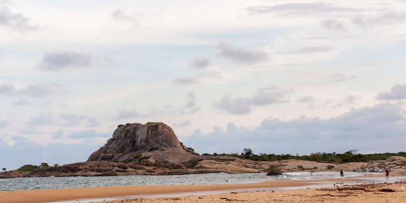 Yala National Park: Half, 7-Hour, or Full-Day Safari & Meals - What this Yala safari is really like