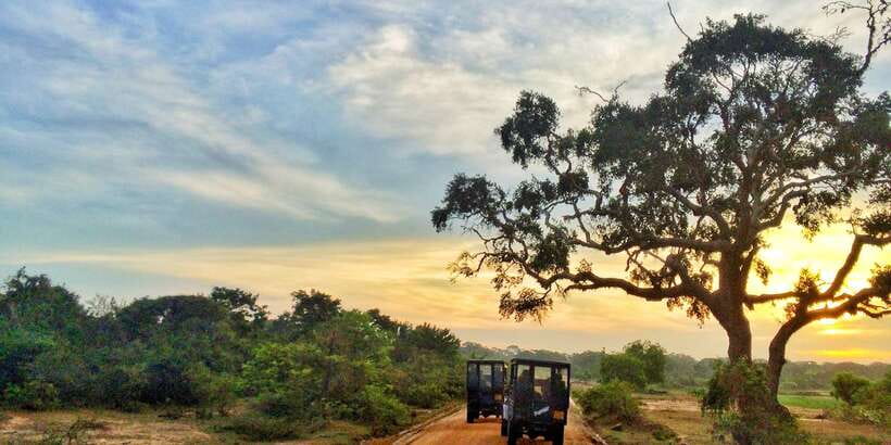 Yala National Park: Half, 7-Hour, or Full-Day Safari & Meals - Pickup from Tissamaharama and nearby towns