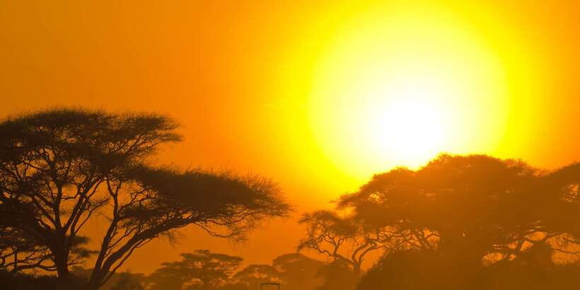Yala National Park: Half, 7-Hour, or Full-Day Safari & Meals - Inside the 4WD Jeep