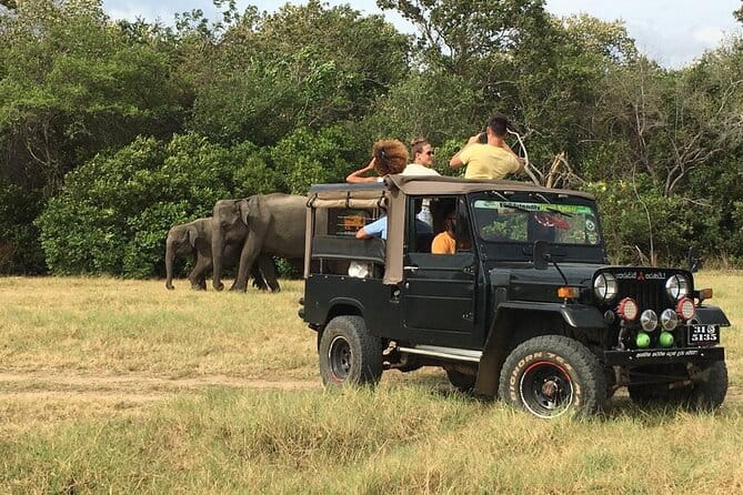 Yala National Park Private Jeep Safari From Colombo & Negombo - A private jeep makes the day easier