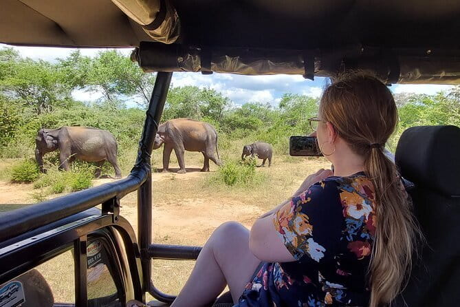 Yala National Park Private Jeep Safari From Colombo & Negombo - What the $250 price really covers