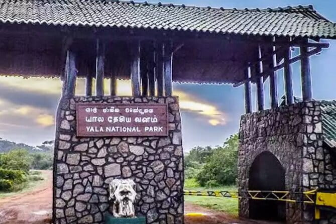 Yala National Park Private Jeep Safari From Colombo & Negombo - The drive is scenic, but the schedule is demanding