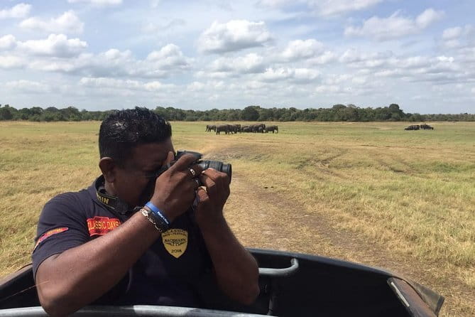 Yala National Park Private Jeep Safari From Colombo & Negombo - Who should book this safari?