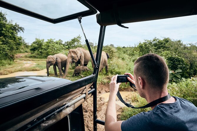 Yala National Park Wildlife Safari/ Game Drive - by Ajith Safari - Afternoon safari: better for a later start