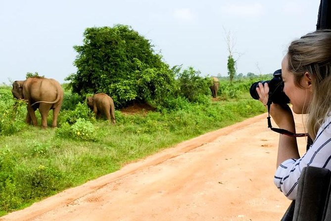 Yala Safari Day Trip from Bentota/ Kalutara/ Ahungalla/ Hikkaduwa - Lunch and the practical value of an all-in package