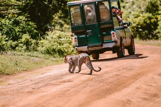 Yala Safari Tour from Hambantota Port by Ajith Safaris - The drive from the port to Yala