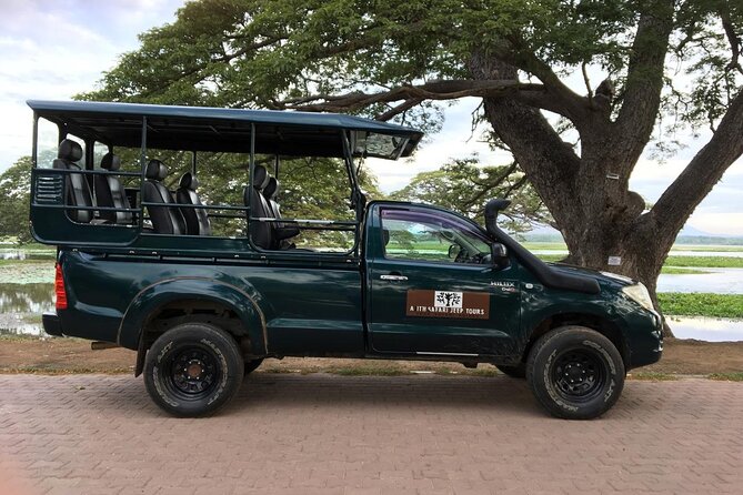 Yala Safari Tour from Hambantota Port by Ajith Safaris - What the safari jeep is really like
