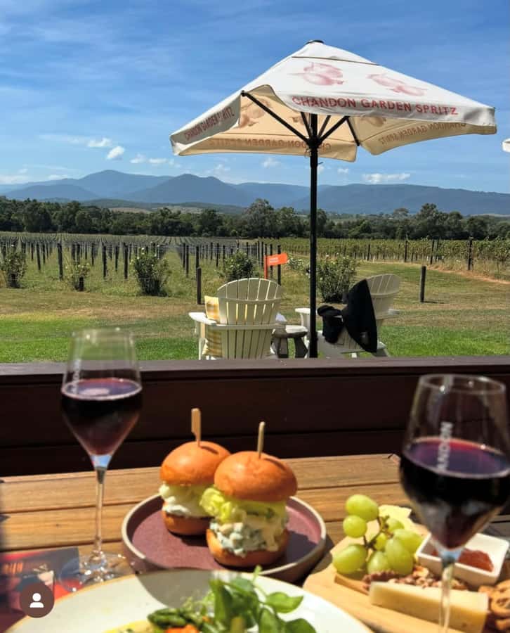 Yarra Valley Foodies Tour with Chandon and Kangaroo Safari! - Who will enjoy this afternoon most?