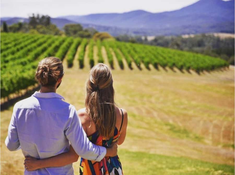 Yarra Valley Foodies Tour with Chandon and Kangaroo Safari! - Why the late start works so well in Melbourne