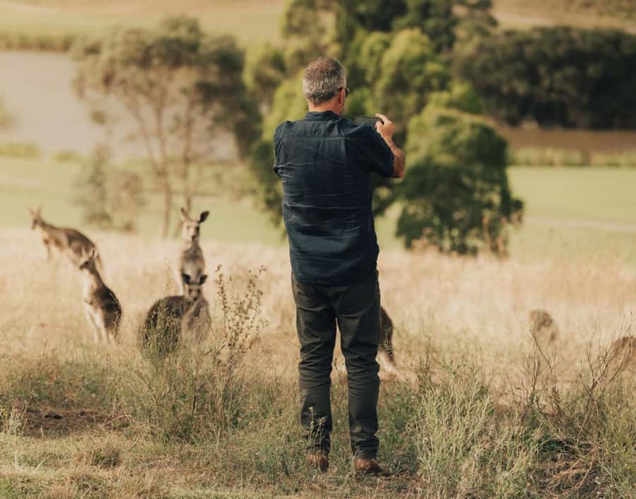 Yarra Valley Foodies Tour with Chandon and Kangaroo Safari! - Yarra Valley Dairy turns cheese into a proper tasting