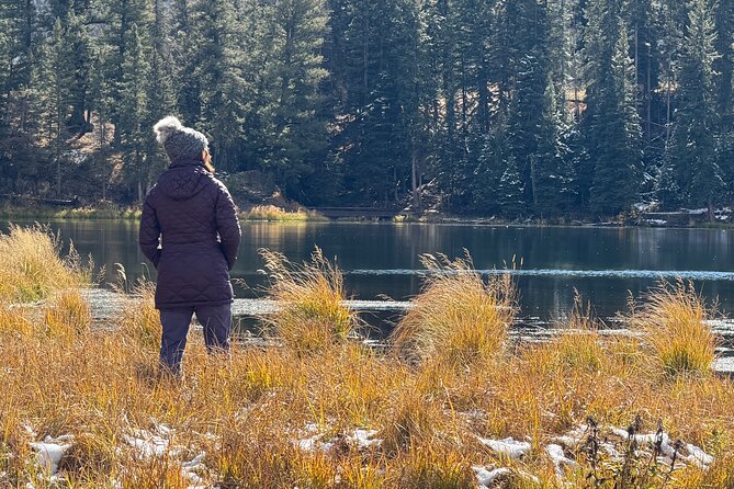 Yellowstone Winter Wildlife & Snowshoe Tour | PRIVATE - Mammoth Hot Springs beside the winter roads