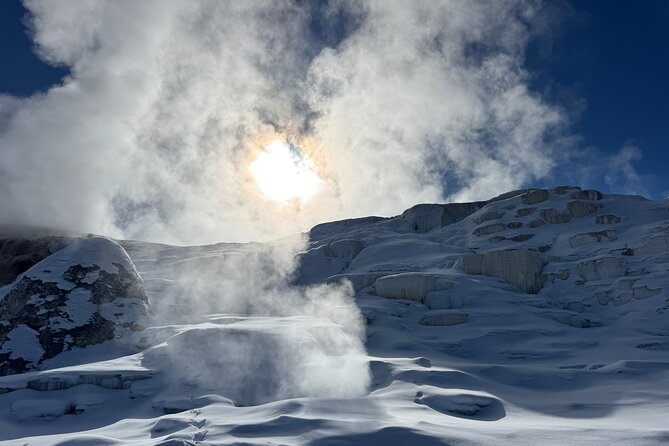 Yellowstone Winter Wildlife & Snowshoe Tour | PRIVATE - A warm break at Albright Visitor Center