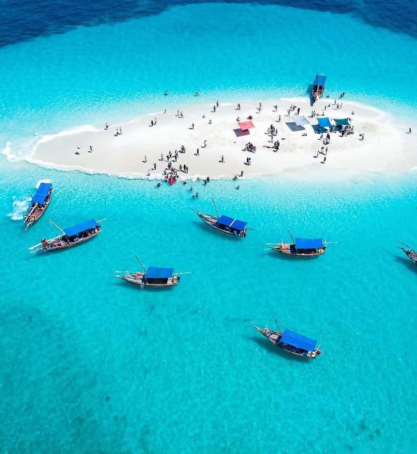 Zanzibar: Safari Blue Lagoon Trip with Snorkeling and Lunch - What the Safari Blue day is really like